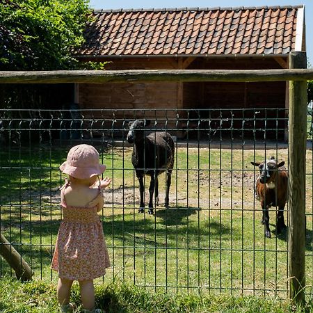 Hoeve De Binnenplaets Schimmert Exterior foto